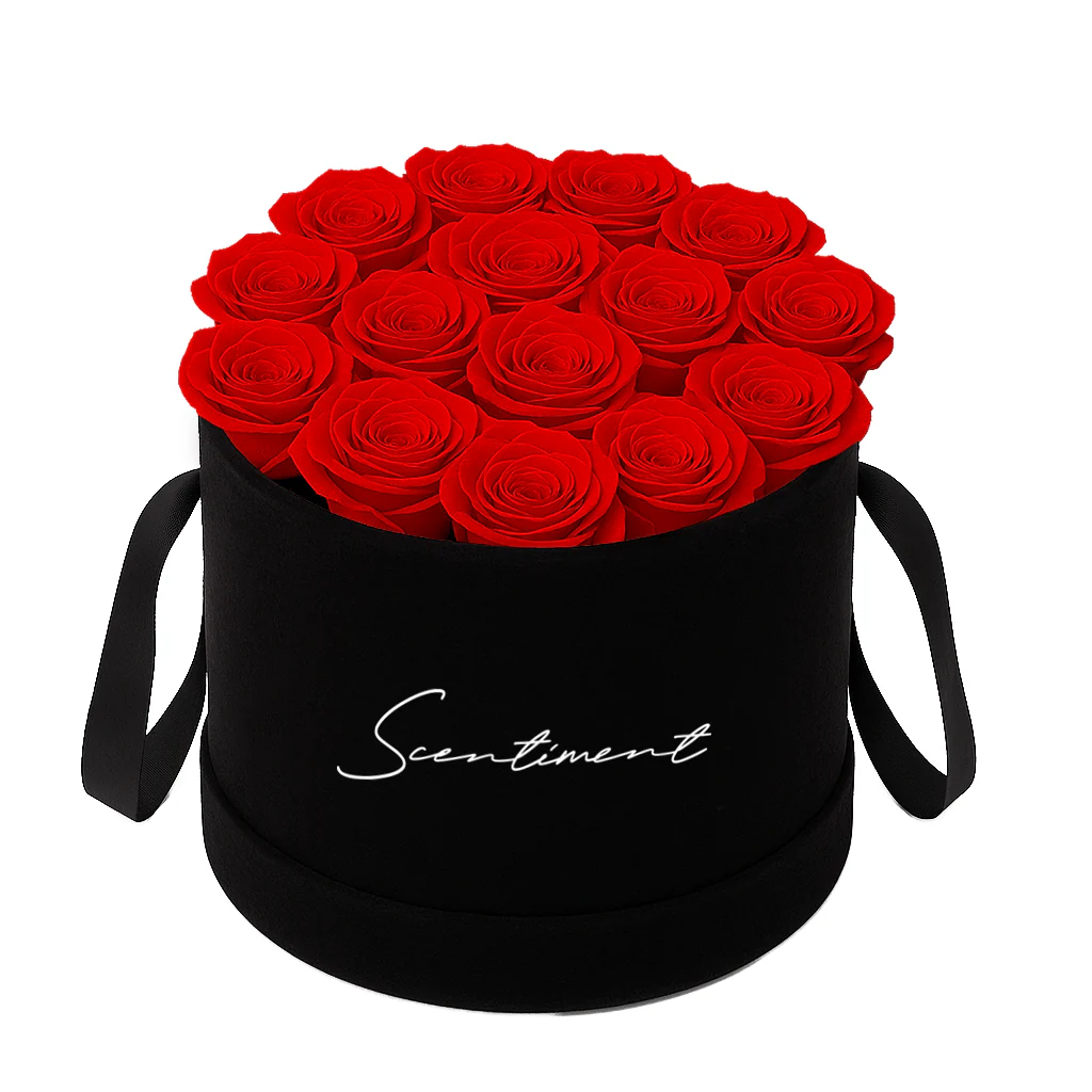 New Diffuser Oil Fragrance Arrivals